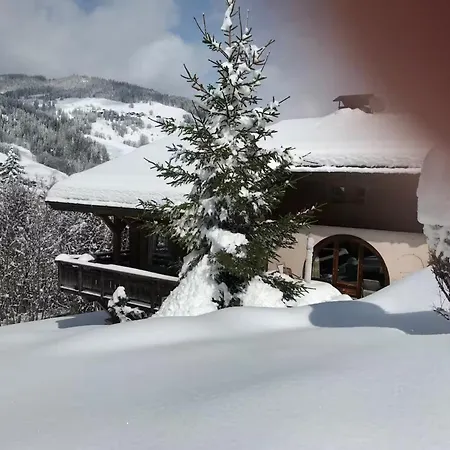 Alpin Pour Un Sejour Inoubliable * Megève
